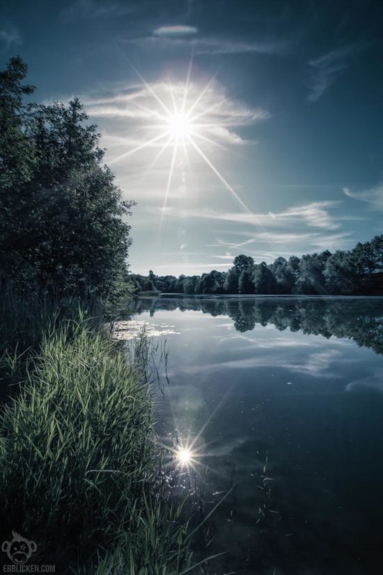 Waldsee