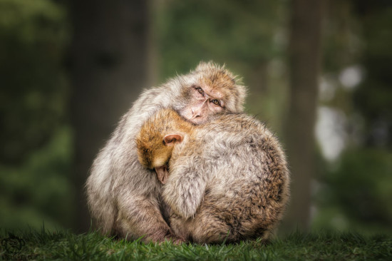 Warmth