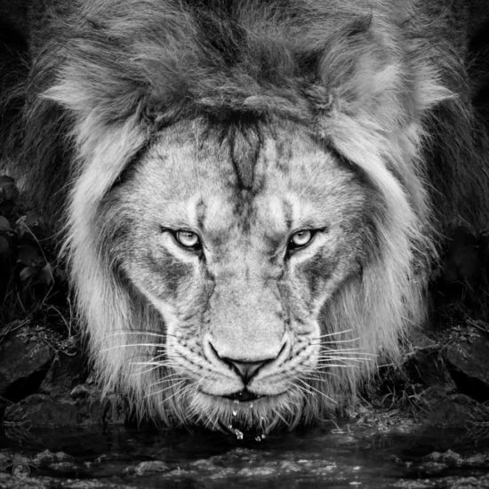 Intense